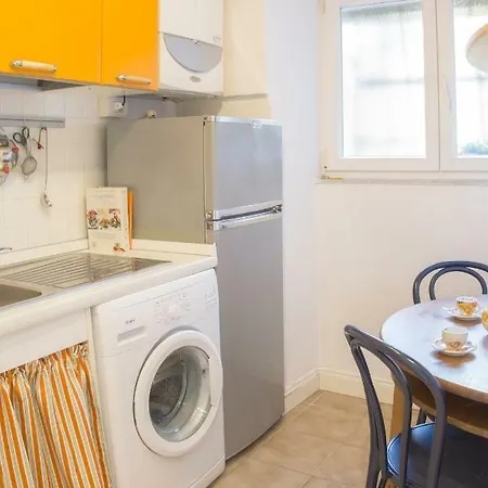 The Carpet Apartamento *